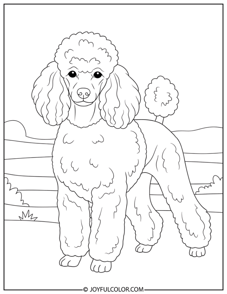 Classic Standing Poodle Coloring Page