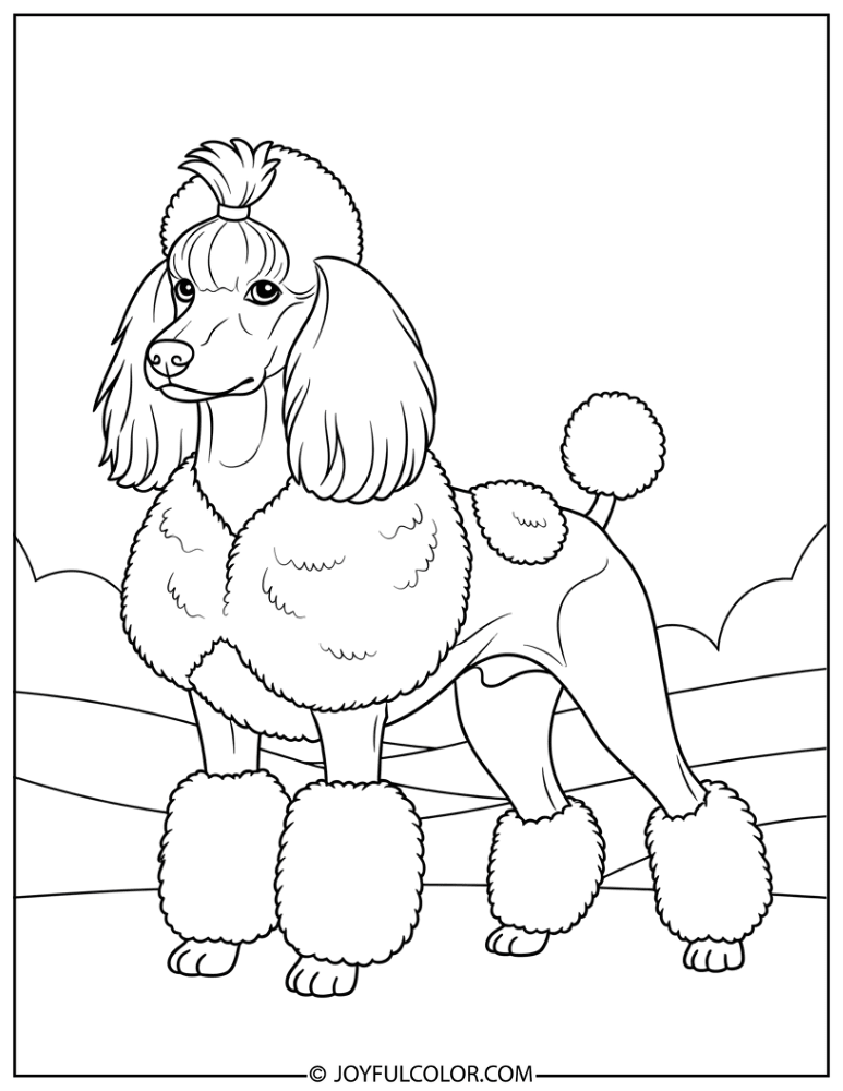 Continental Cut Poodle Coloring Page