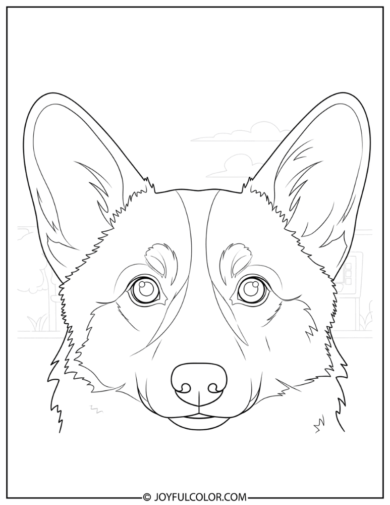 Corgi Face Close Up Coloring Page