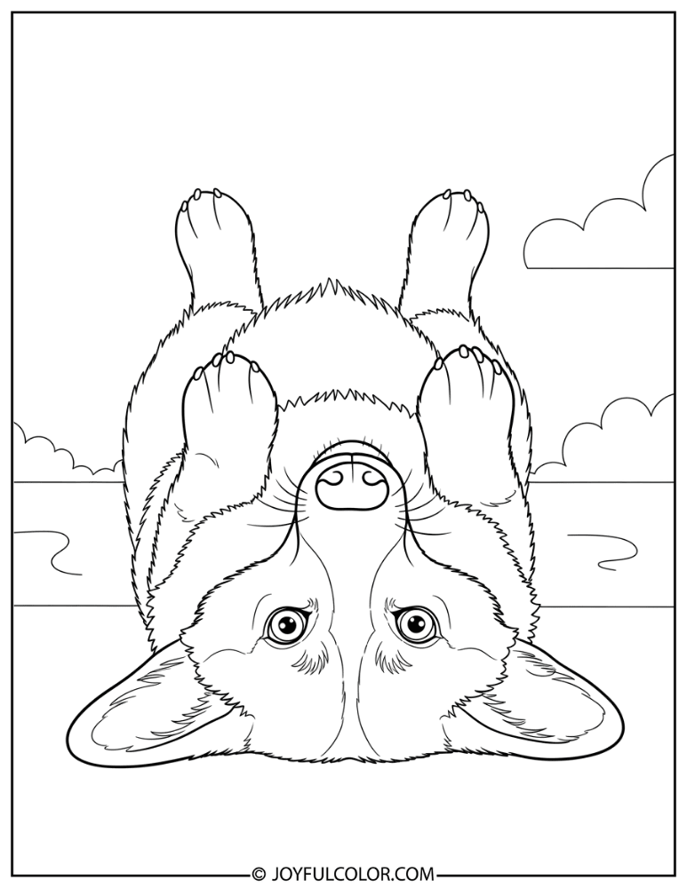 Corgi Rolling Over Coloring Page