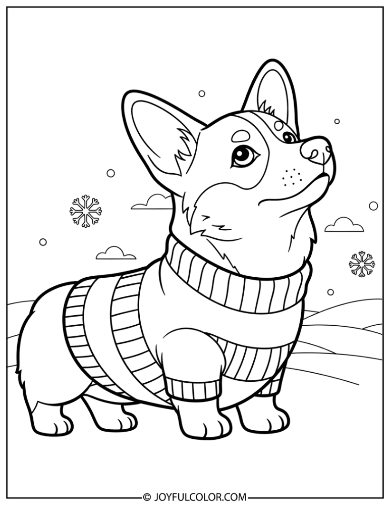 Corgi in Winter Sweater Coloring Page