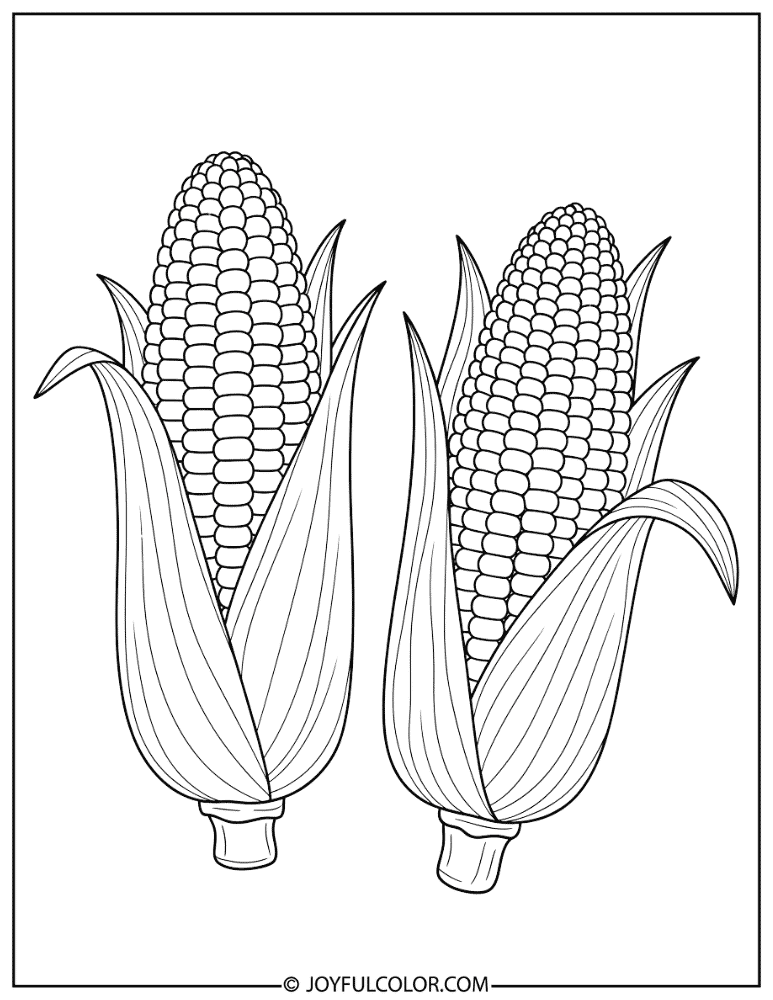 Corn with Partially Peeled Husk Coloring Page