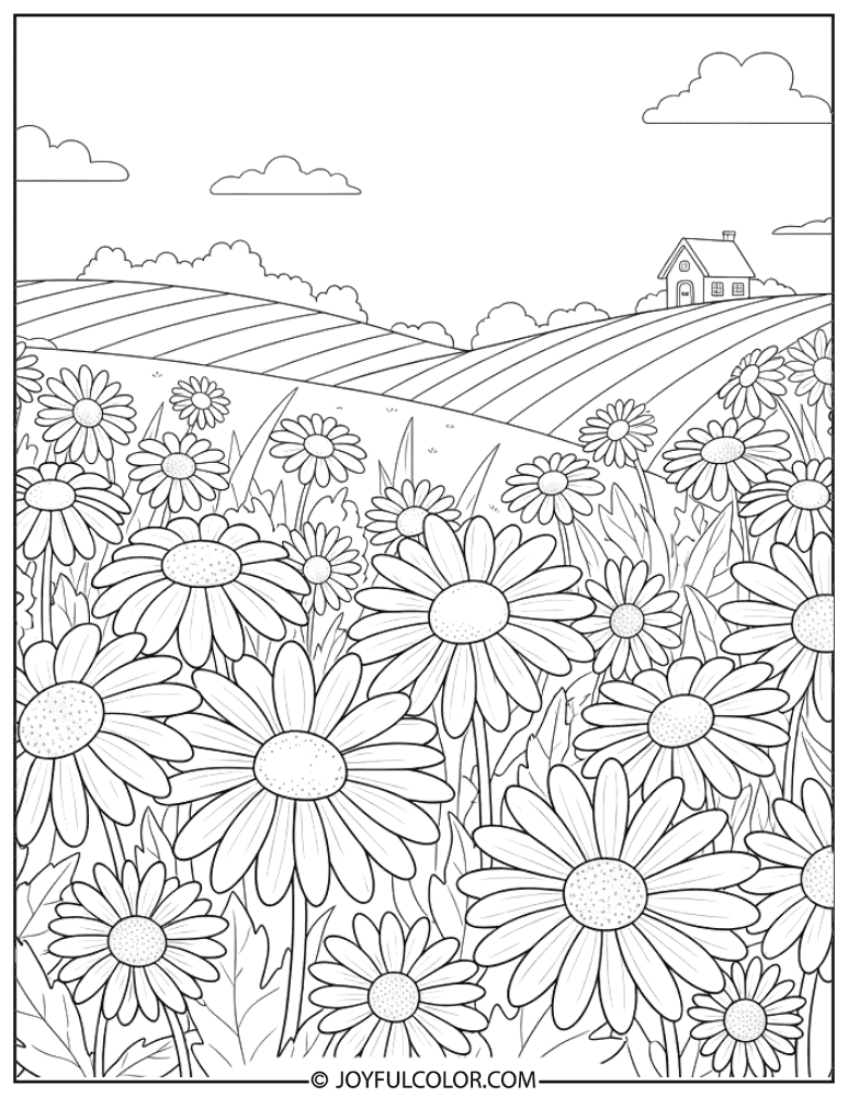 Cottage Garden with Daisies Coloring Page