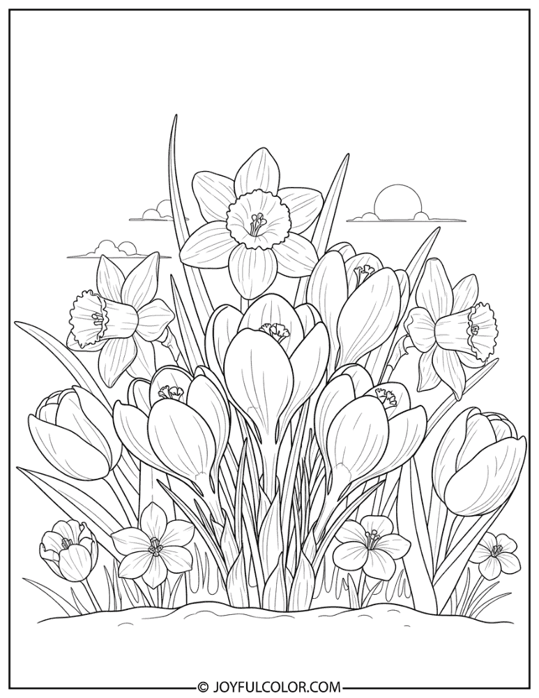 Crocus Spring Flower Coloring Page
