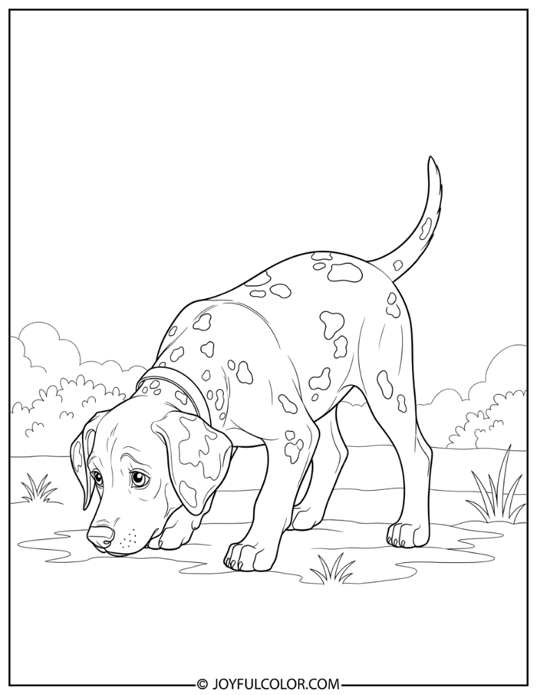Curious Dalmatian Puppy Coloring Page