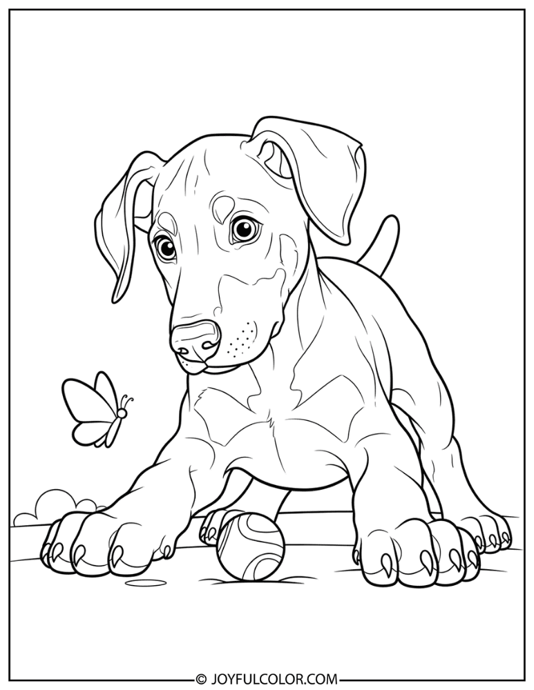 Curious Doberman Puppy Coloring Page