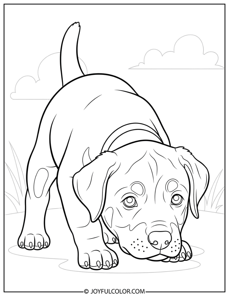 Curious Rottweiler Puppy Coloring Page