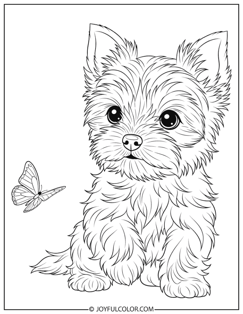 Curious Yorkie Puppy Coloring Page