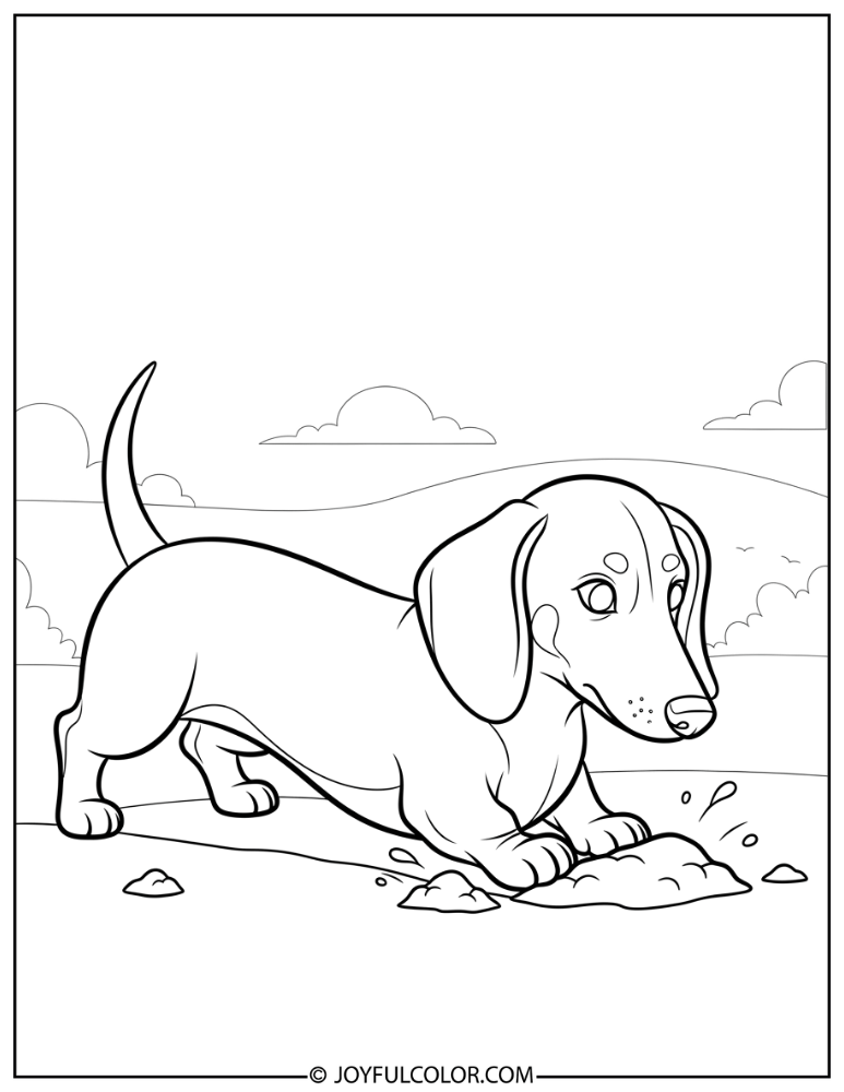 Dachshund Digging