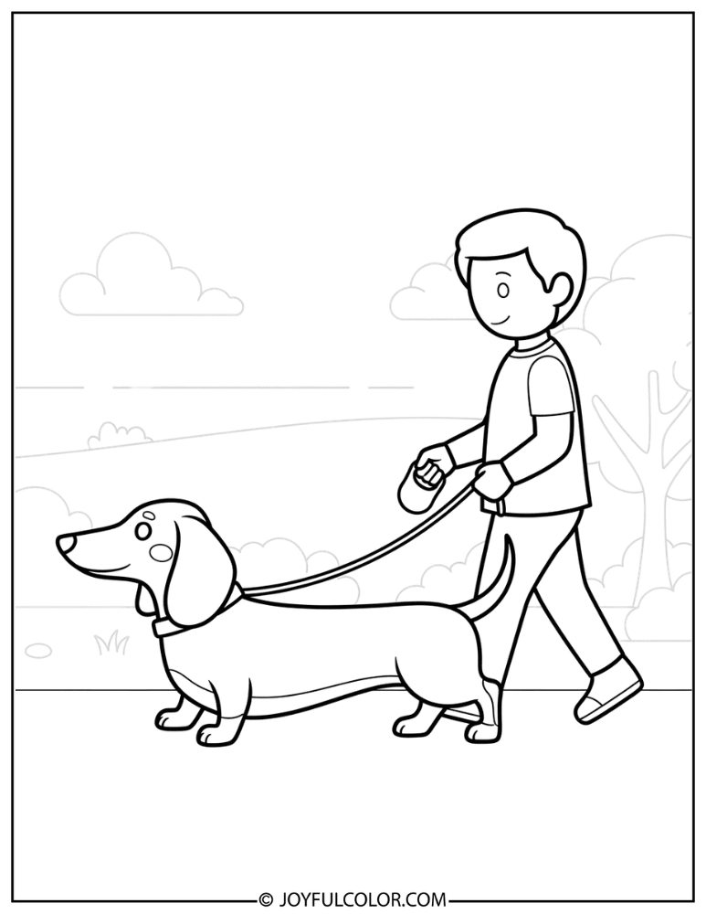 Dachshund Walking with Owner