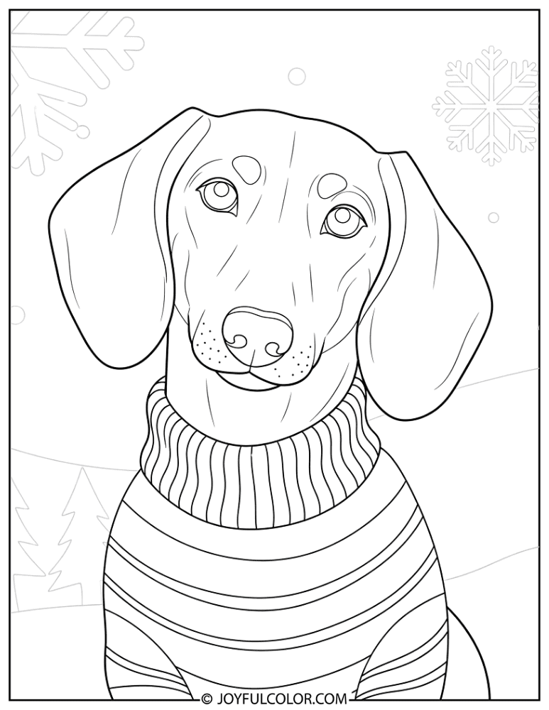 Dachshund in Winter Sweater Coloring Page