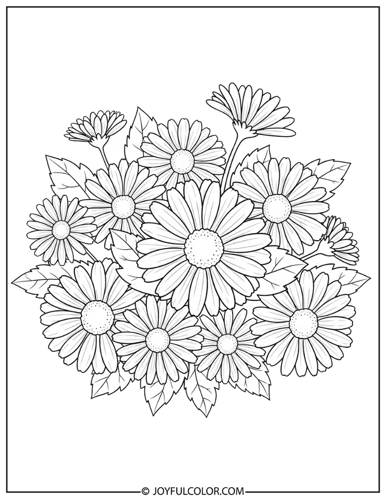 Daisy Cluster Garden Flower Coloring Page