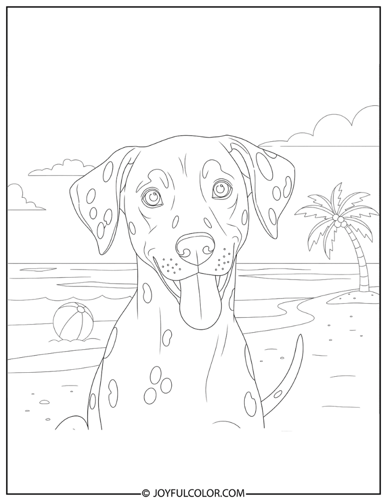 Dalmatian at Beach Coloring Page