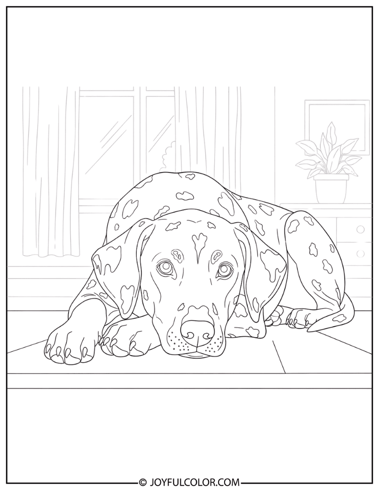 Dalmatian at Home Coloring Page