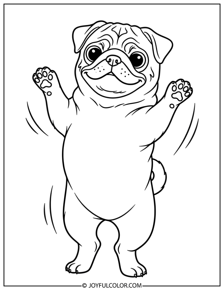 Dancing Pug Coloring Page