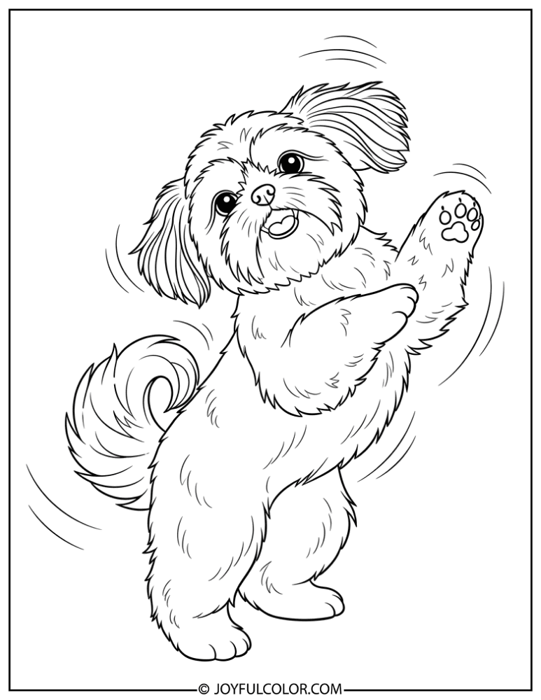 Dancing Shih Tzu Coloring Page