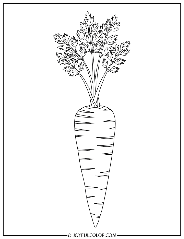 Decorative Botanical Carrot Coloring Page