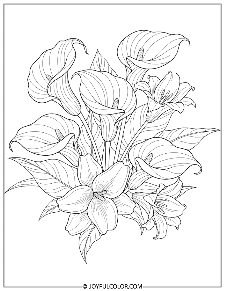 Decorative Calla Lily Illustration Coloring Page