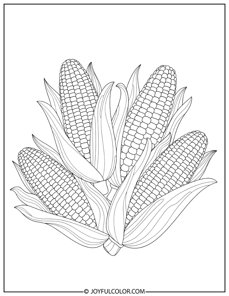 Decorative Indian Corn Coloring Page