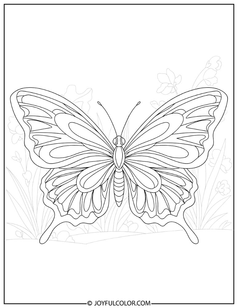 Decorative Wing Lines Butterfly Coloring Page