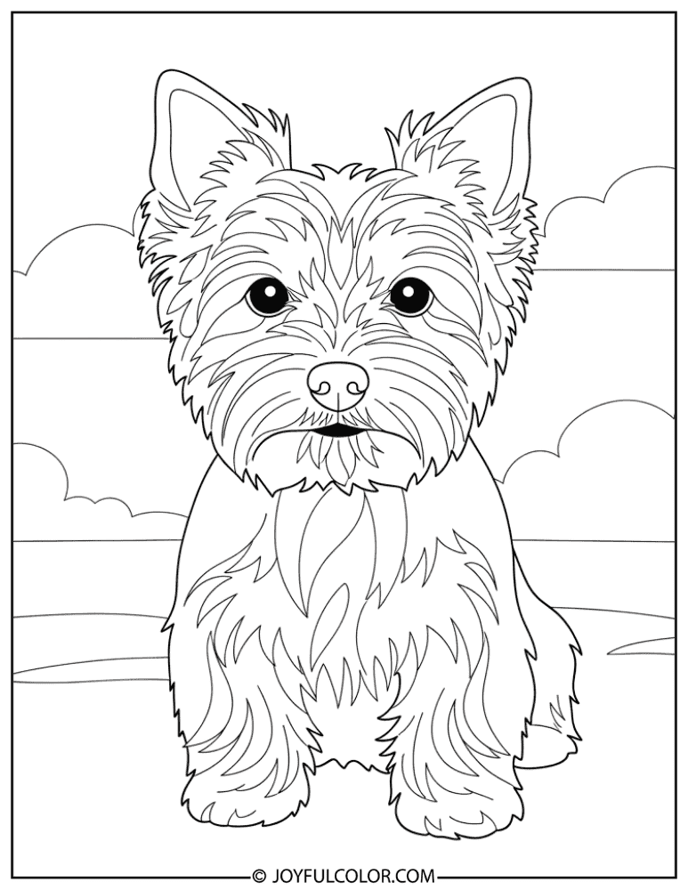 Decorative Yorkie Art Coloring Page