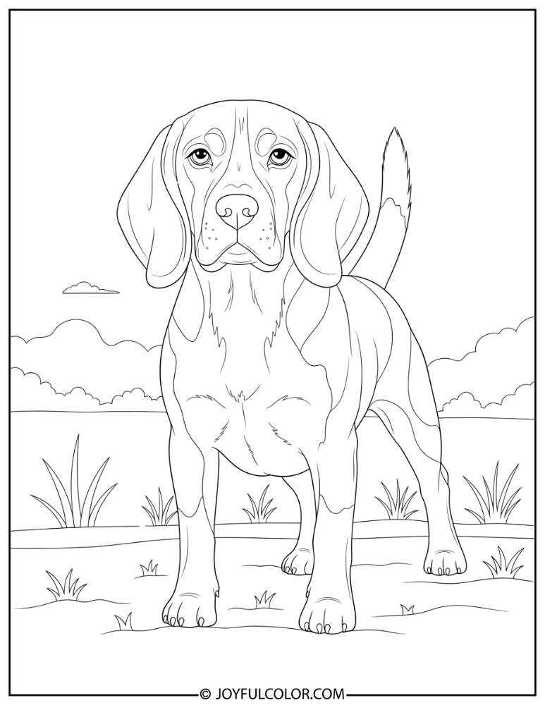 Detailed Beagle Standing Coloring Page