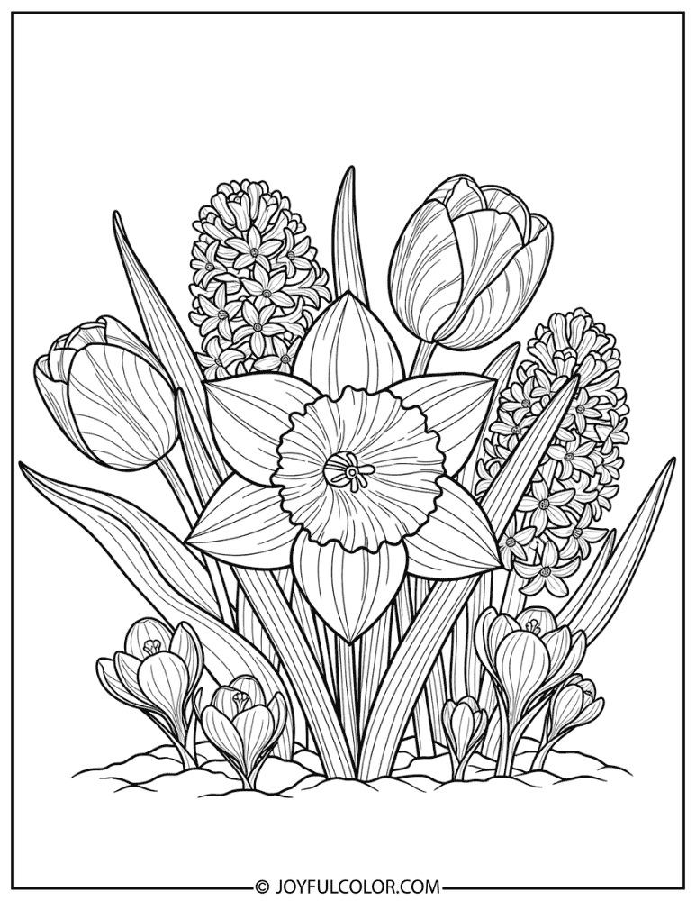 Detailed Daffodil Botanical Coloring Page