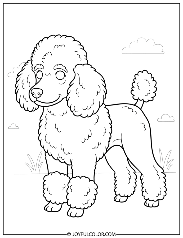 Detailed Fur Poodle Coloring Page