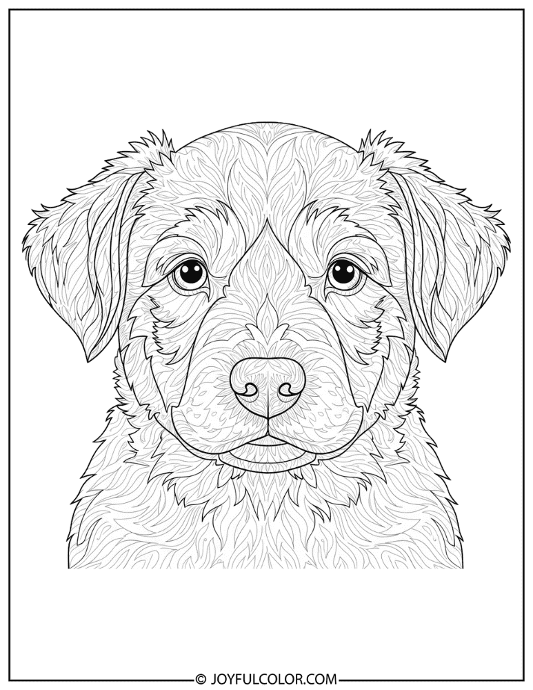 Detailed Fur Puppy Portrait Coloring Page