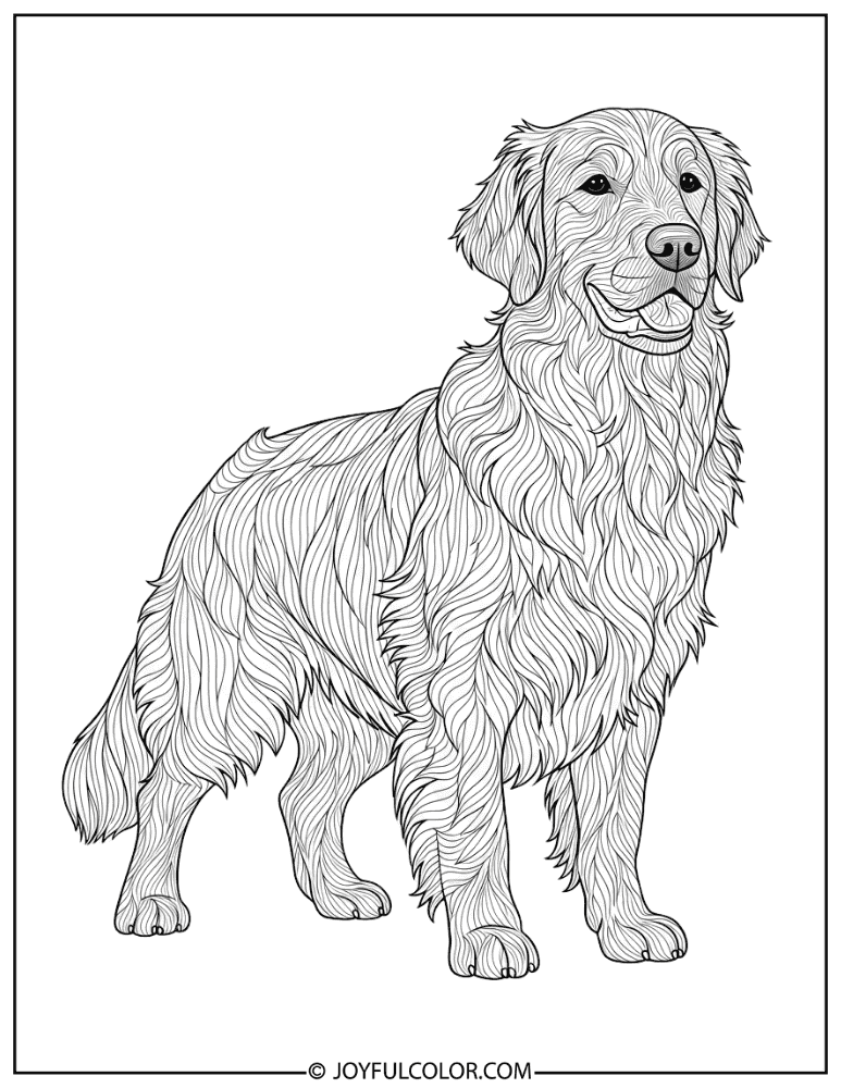 Detailed Fur Texture Retriever Coloring Page