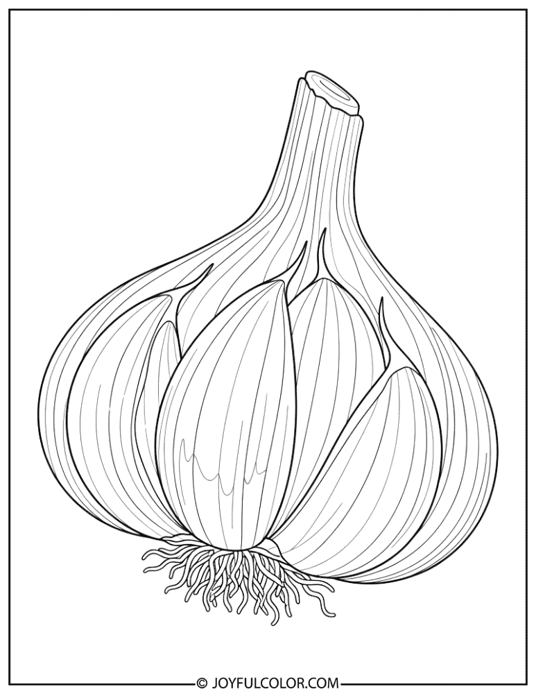Detailed Garlic Bulb Coloring Page