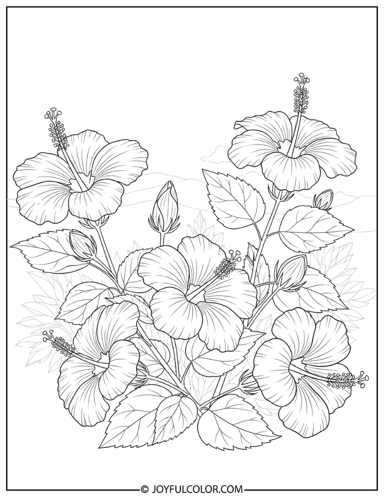 Detailed Hibiscus Botanical Illustration Coloring Page