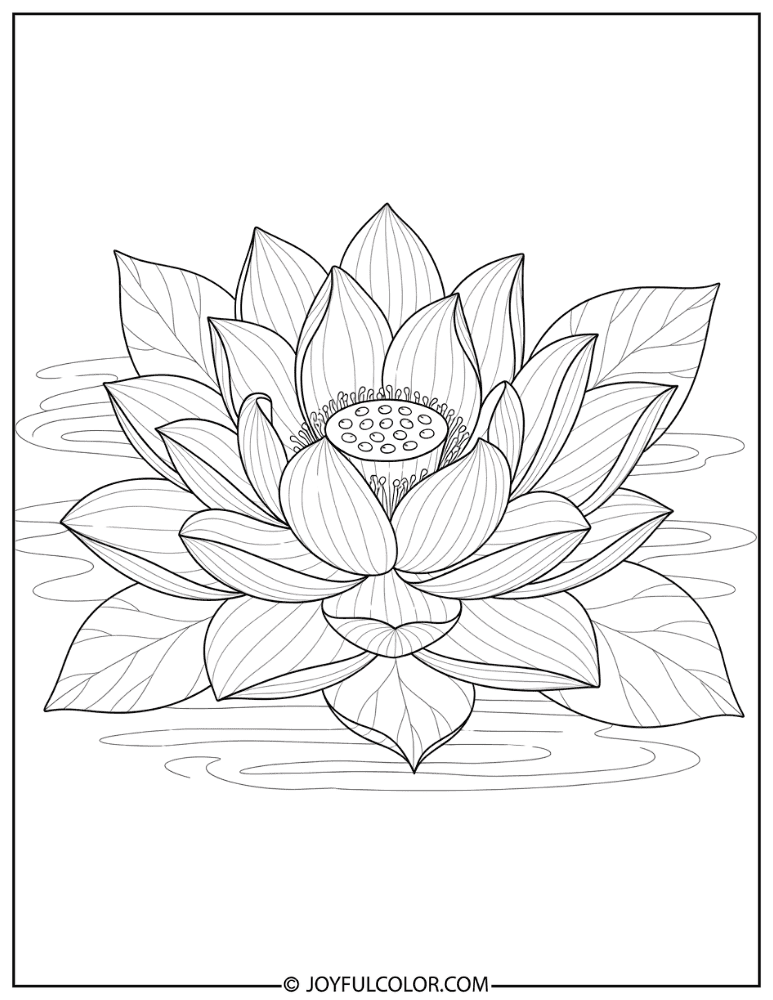 Detailed Sacred Lotus Coloring Page