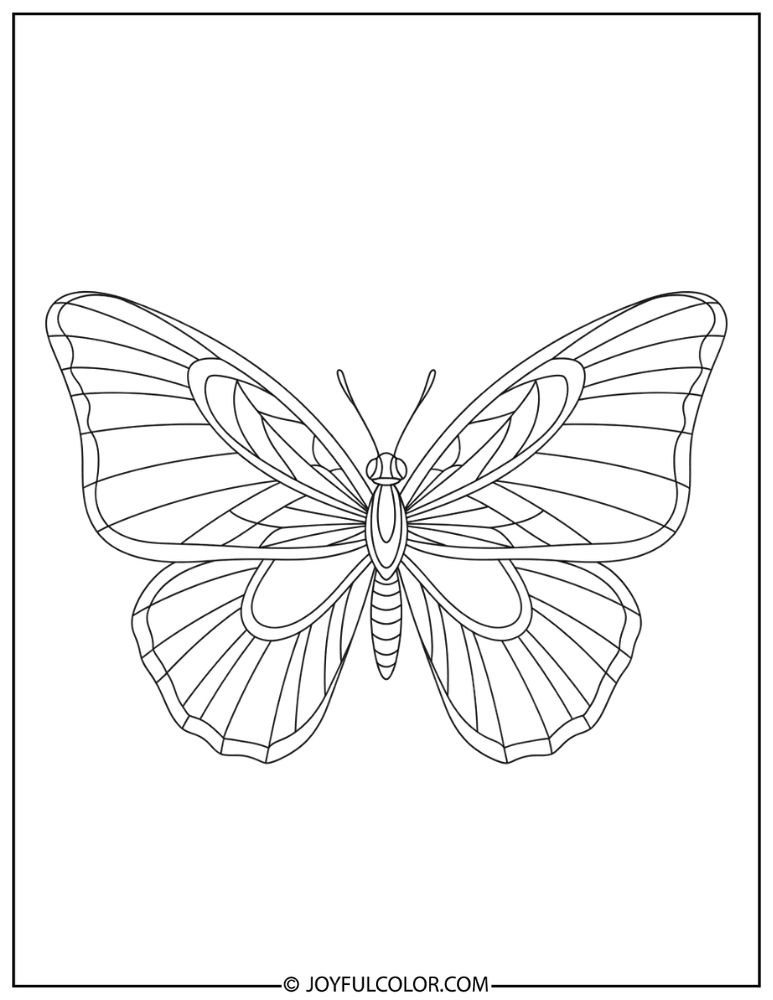 Detailed Wing Pattern Butterfly Coloring Page