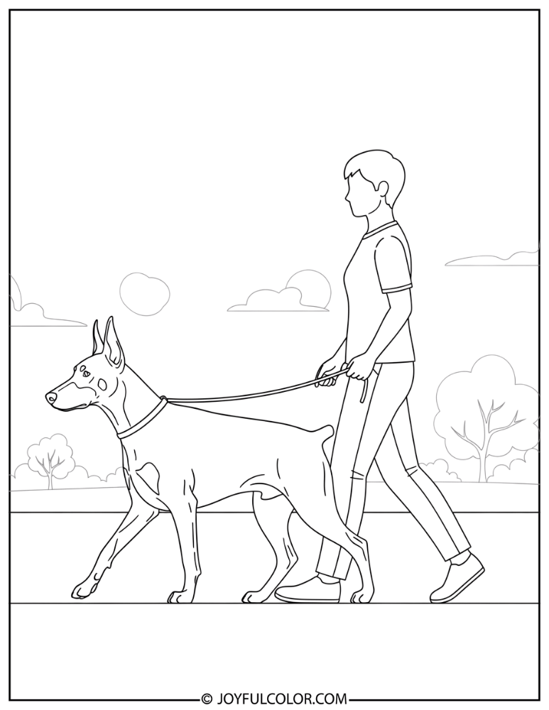 Doberman Walking with Owner Coloring Page