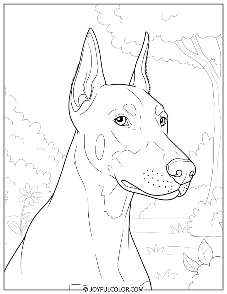 Doberman in Garden Coloring Page