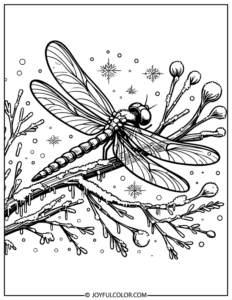20 Printable Dragonfly Coloring Pages for FREE Download