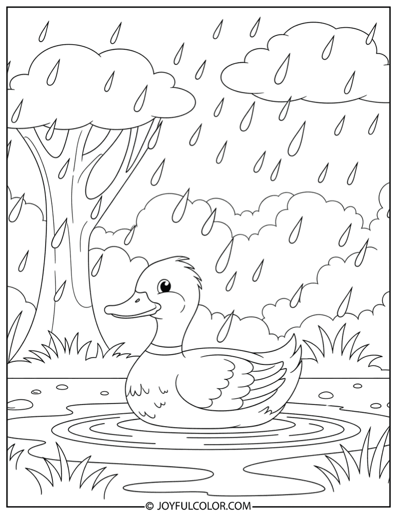 Duck in Puddle Coloring Page
