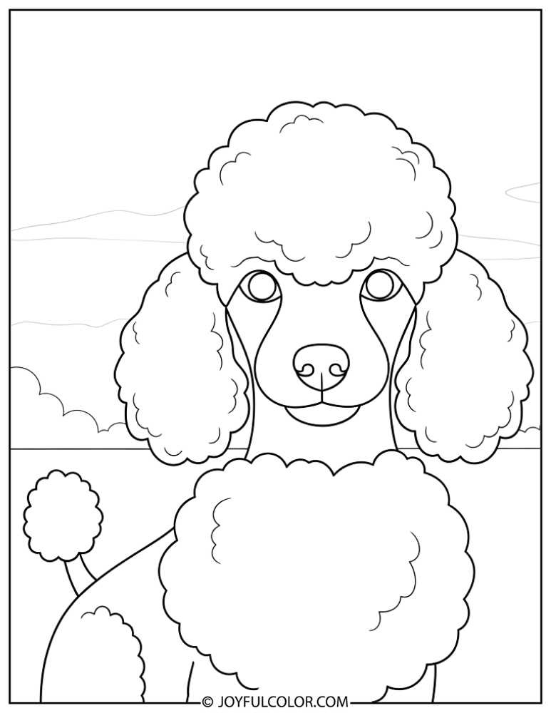 Easy Cartoon Poodle Coloring Page