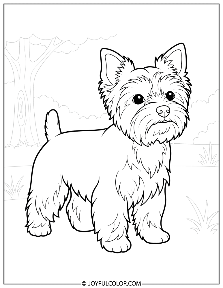 Easy Cartoon Yorkie Coloring Page