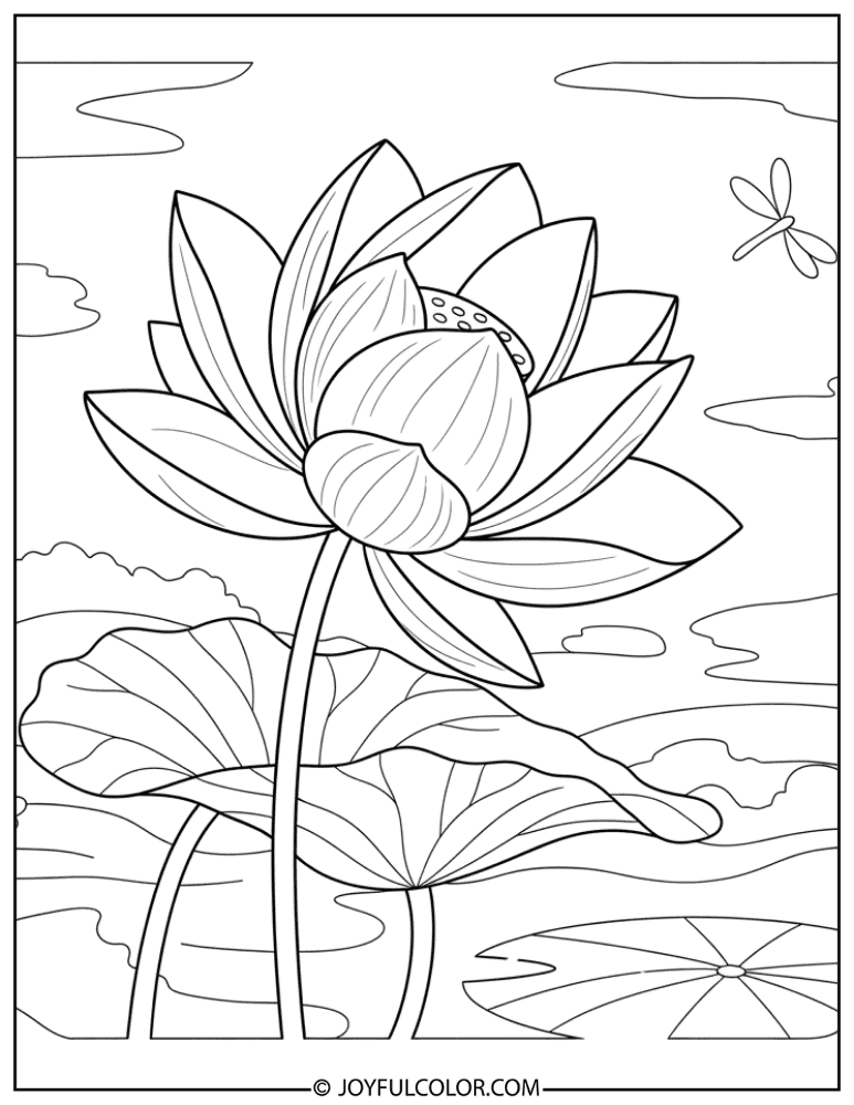Easy Lotus Blossom Coloring Page