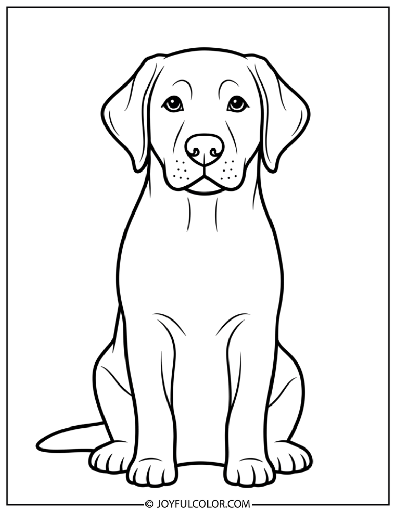 Easy Sitting Labrador Coloring Page