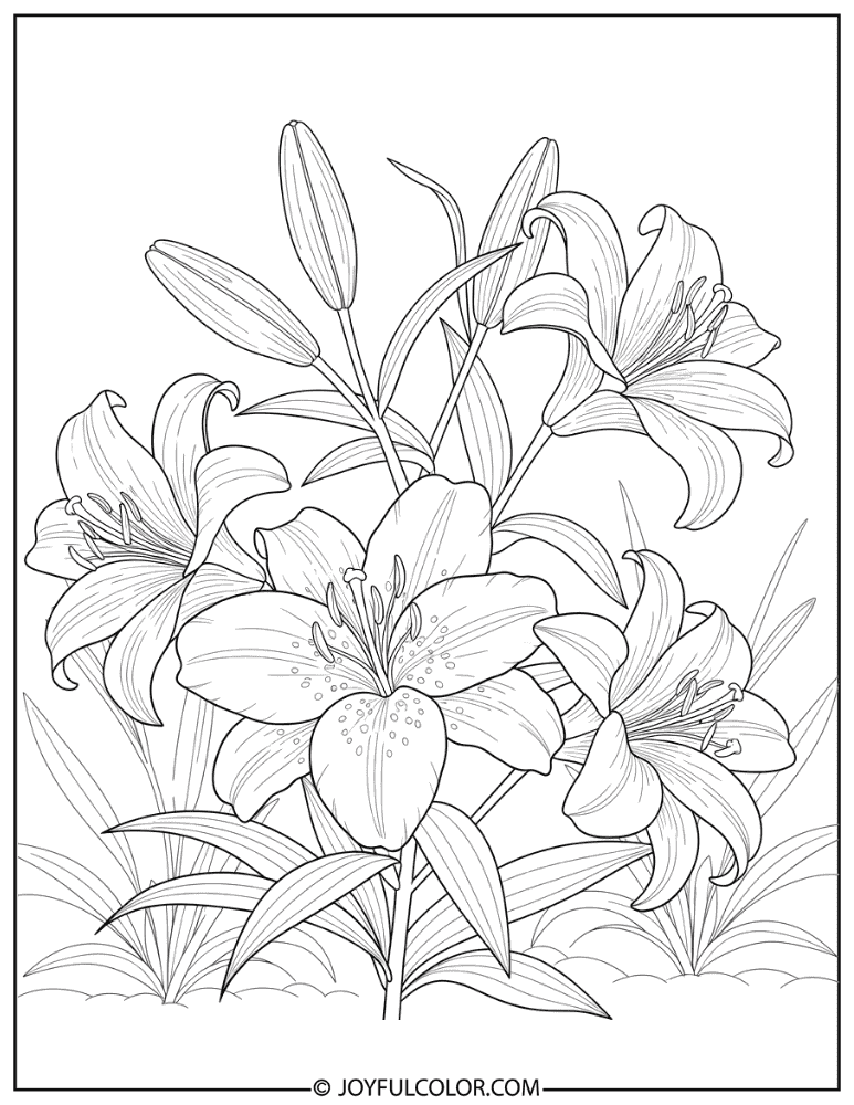 Elegant Garden Lily Coloring Page
