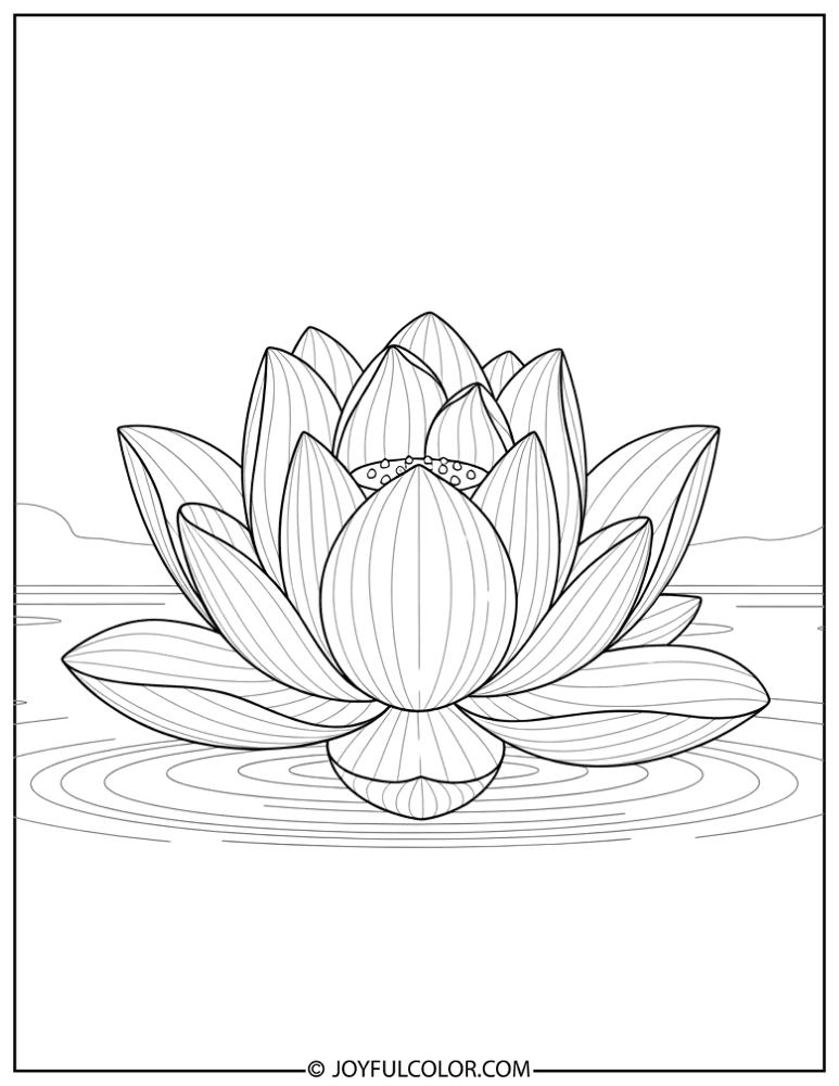 Elegant Lotus Outline Coloring Page