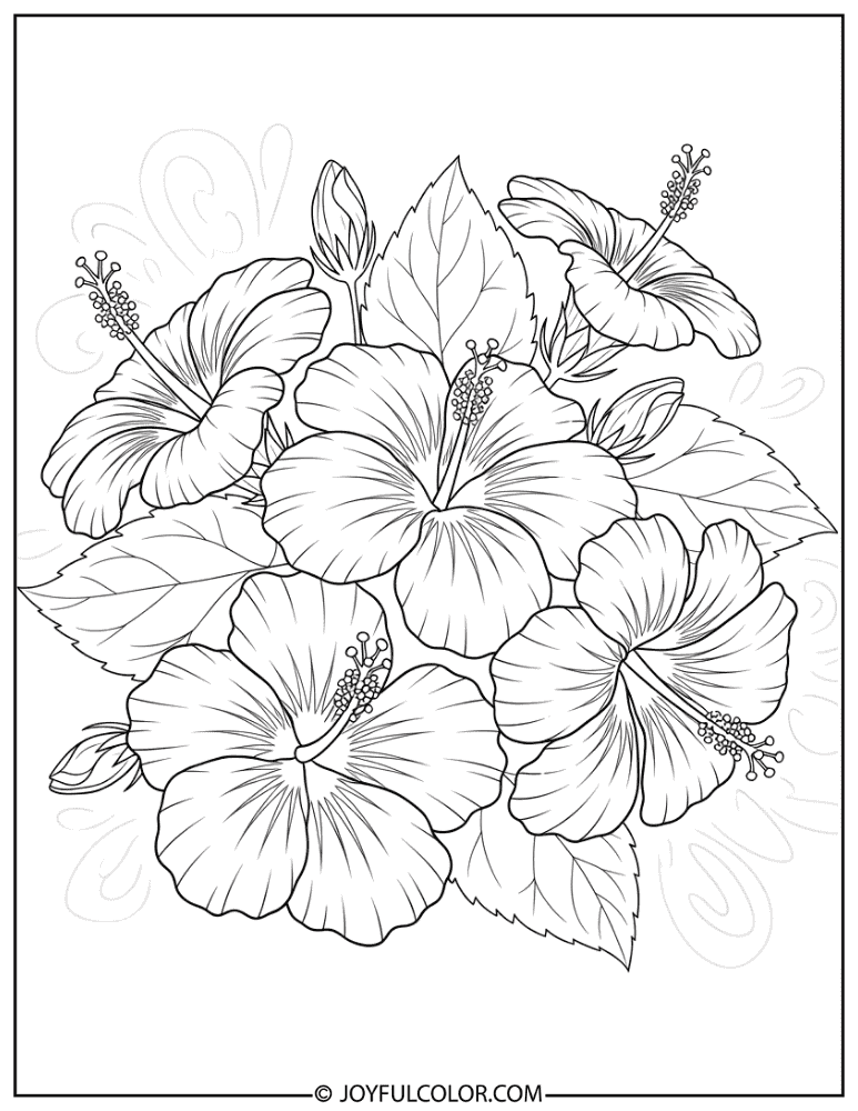 Exotic Hibiscus Cluster Coloring Page