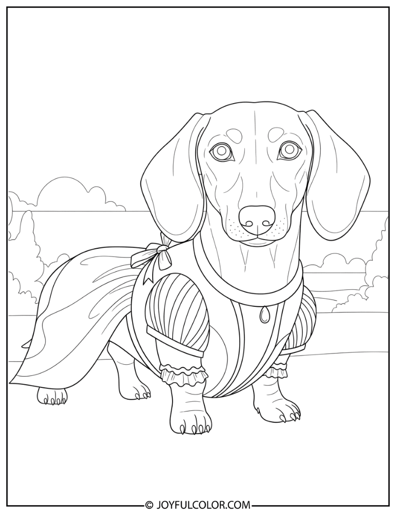 Fancy Dress Dachshund Coloring Page