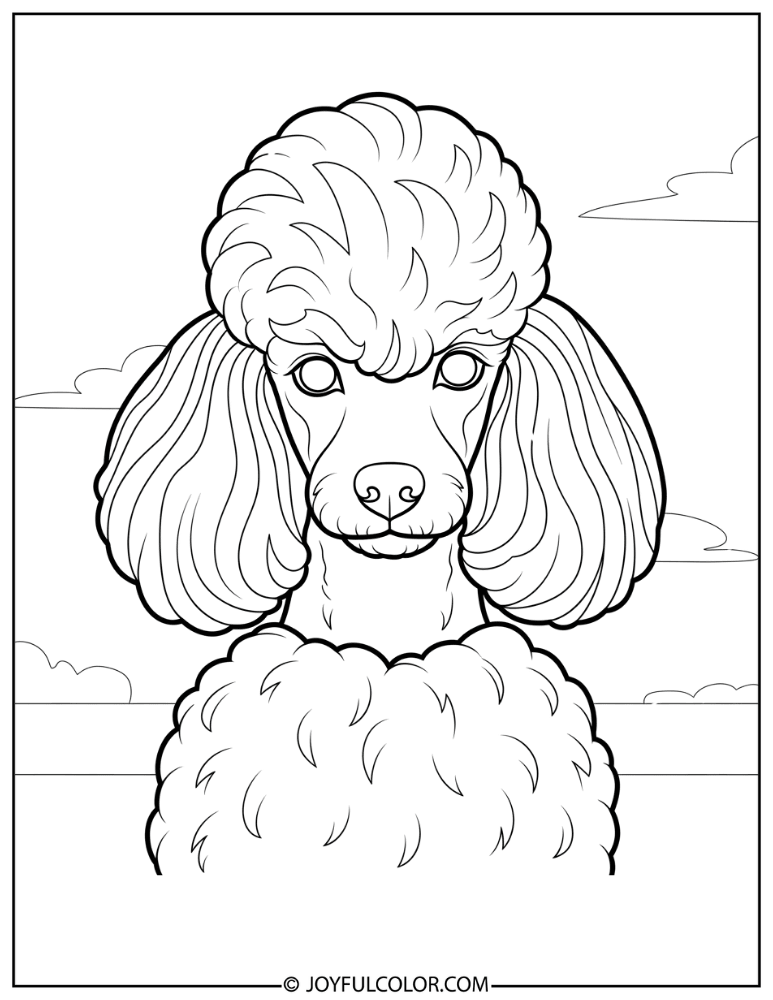 Fancy Groomed Poodle Coloring Page