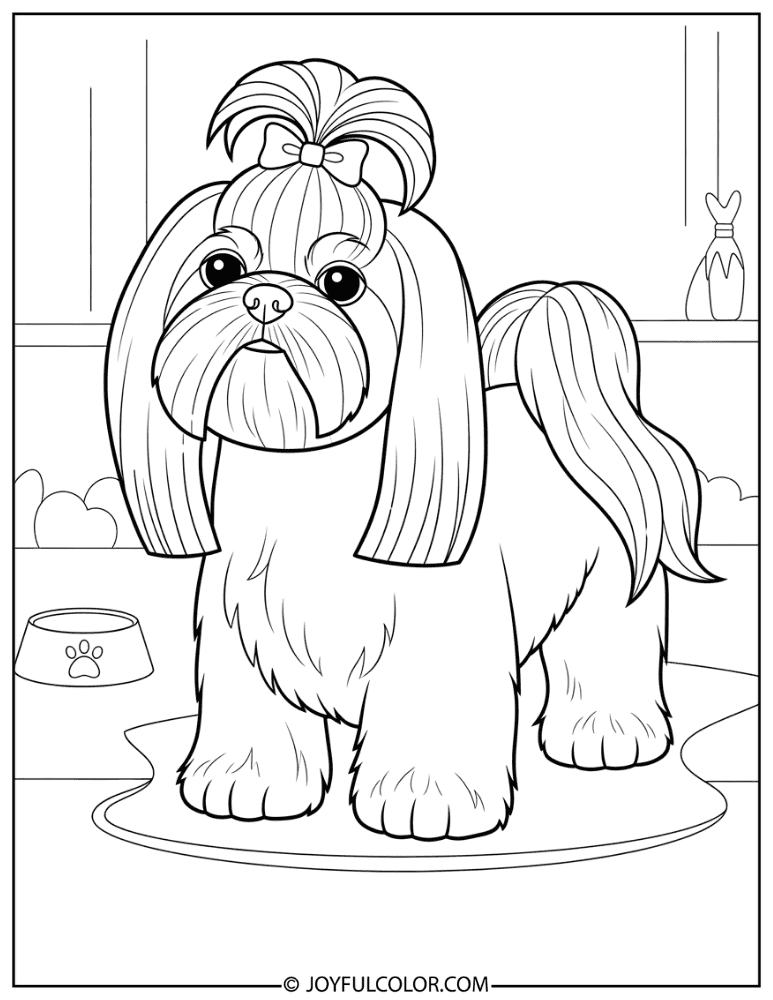 Fancy Groomed Shih Tzu Coloring Page