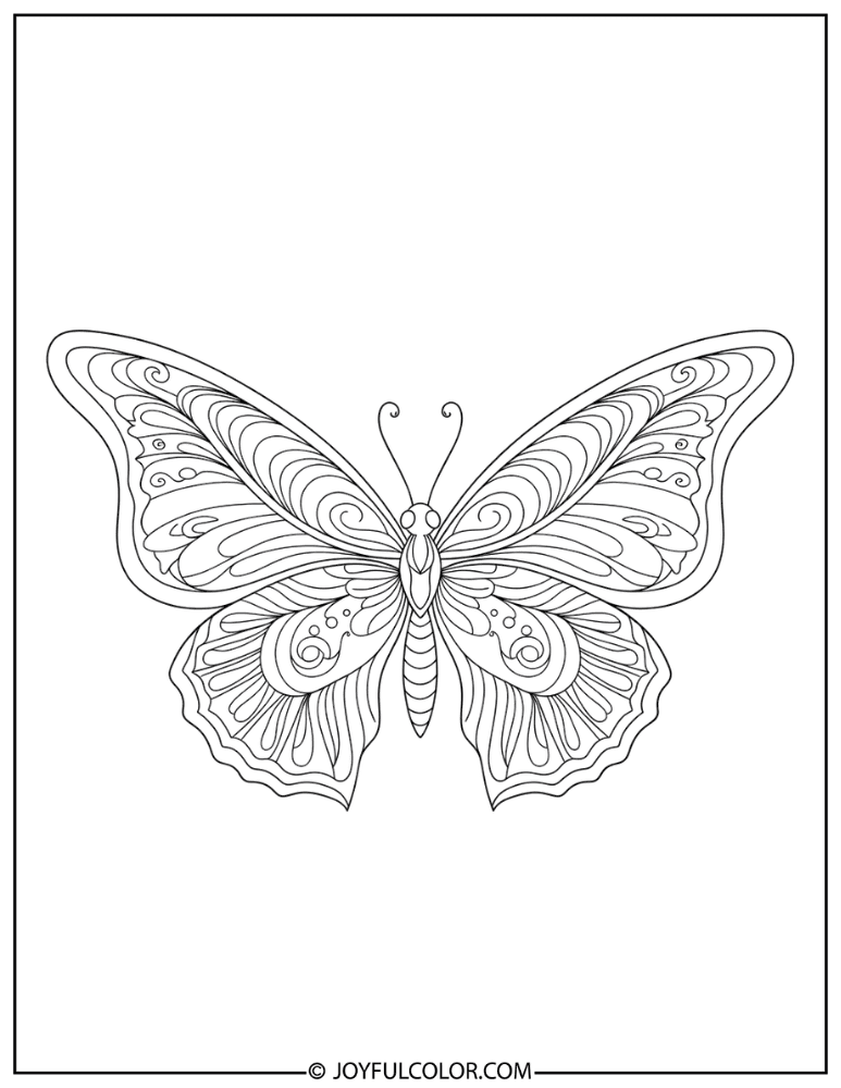 Fantasy Butterfly Wings Coloring Page