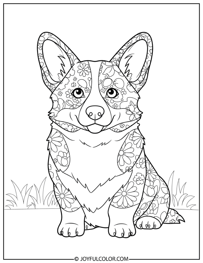Floral Pattern Corgi Coloring Page